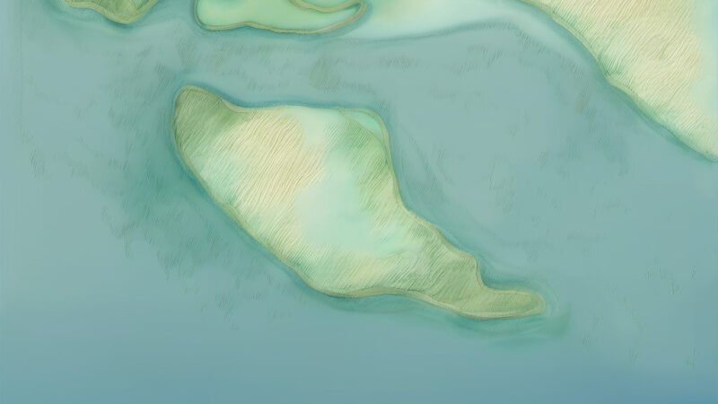 An image of Kakkativu, painted in watercolors. Kakkativu-Indian Ocean.