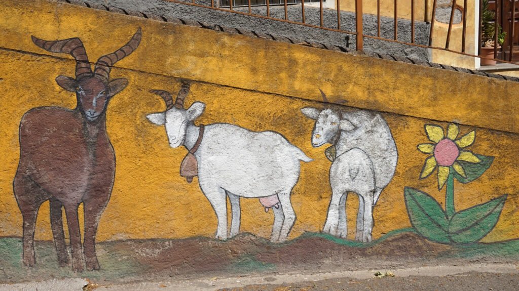 Art Meets Tradition: Sheep and Shepherds Immortalized on the Murales of Orgosolo in the Heart of Sardinia's Blue Zone